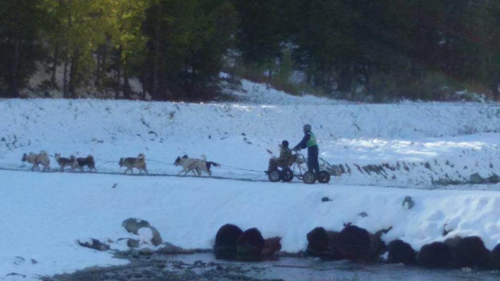 Baita Del Plan Pragelato Exteriör bild